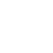 person teaching with diagram