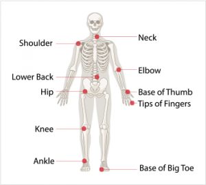Diagram of the joints most often affected by osteoarthritis - neck, shoulder, elbow, lower back, base of thumb, hip, tips of finger, knee, ankle, and the base of the big toe